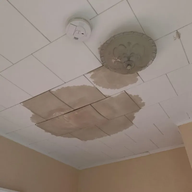 Ceiling Water Damage Repair in Westernport, MD