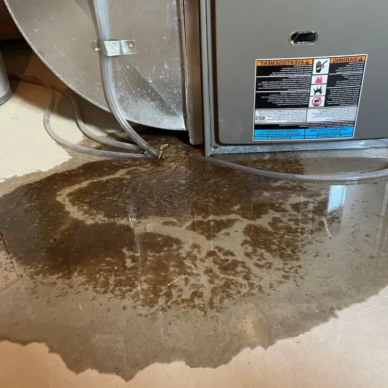 Pipe Burst and Leak Restoration in Westernport, MD