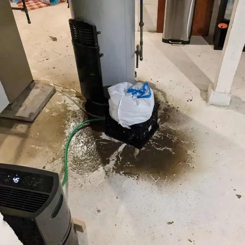Sewage Backup Cleanup Service in Westernport, MD